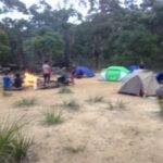 camp set up, tents